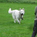 Meldo met de flossie