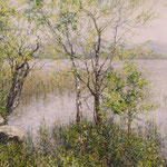 Birken am Staffelsee // 80 x 100 cm // Auftragswerk