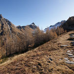 Panoramica dal Passo di Campel Alt