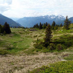 Brusada 1959 m