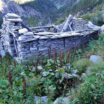 Alp de Largè 1833 m