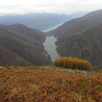 Lago di Vogorno e Lago Maggiore