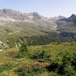 Alp de Mem 1950 m