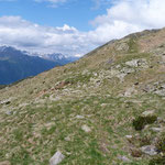 Sentiero per il Rifugio Gana Rossa