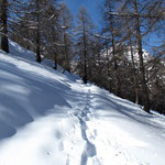Sentiero Scontra - Alpe Cadonighino
