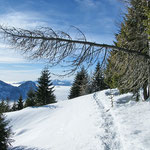 Sentiero Alpe di Gesero - Alpe Croveggia