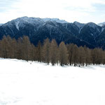 Dall'Alpe Pesced verso il Pizzo Ruscada