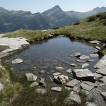 Alp de Naucal