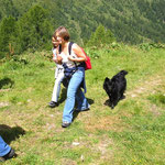 1 Jahr und 8 Monate alt beim Eurasiertreffen in Osttirol