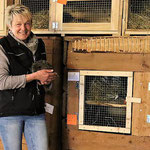 Igel-Pflegestation bei Marion Damm