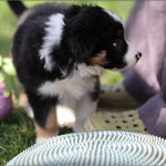 Zazou <3