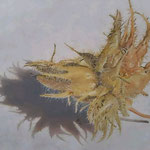 Zierhaselnuss / Öl / 40x55 cm / 2021 /----CHF 1'700----