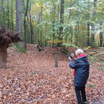 Digitale Fotofreuden - Foto Eliane Pedal