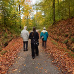 Durch de bunten Wald - Foto Eliane Pedal