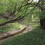 Der Wald - Schattenspender und Wasserspeicher