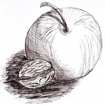 Studie Apfel und Nuss