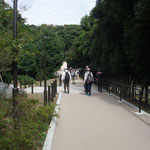 三菱の岩崎小弥太が母の為に建てた別荘跡地を文化財団が鎌倉市に寄付