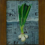 Frühlingszwiebeln, 2001, Hgl, 33x 26 cm, 80,-€
