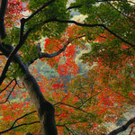 京都市秋の嵐山界隈　上大迫博撮影©