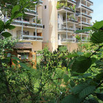 Cabane des enfants, Habitat participatif Aux 4 Vents ©Faire-Ville