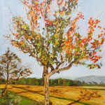 Apfelbaum, Acryl auf Leinwand, 70x50 cm, 2019