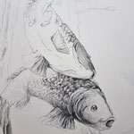 Fische, Bleistift, 2015