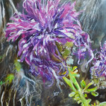 Distel V, Acryl auf Leinwand, 40x30 cm, 2020