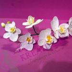 Blütenkurs Orchideen - Fondant/Blütenpaste