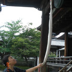 なかなか、うまく鳴らすのは難しい…。