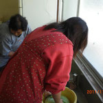 Mさんは洗いもの担当。野菜をきれいに水洗いしてくれています。