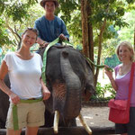 Thailand, Elephant Conservation Center / u.a meine liebe Freundin Caro