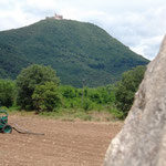 Blick auf Burg Montsoriu