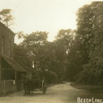 Beech Lane, c. 1905. This is Gospel Lane. Beech was a farmer at Redstone Farm, which was at the Warwick Road, but gave its name to the far end of Gospel Lane in Hall Green.
