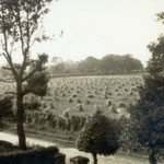 Stooks at Greenwood Road where Northanger Road was built