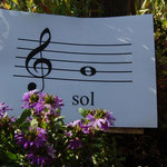 Cros de Géorand - Concours photo 2025 "Au ras du sol sur le plateau ardéchois" - Manu U.