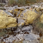 Cros de Géorand - Concours photo 2025 "Au ras du sol sur le plateau ardéchois" - Denis J.