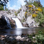 Cros de Géorand - Concours photo 2025 "Au ras du sol sur le plateau ardéchois" - Alban P.