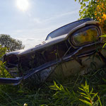 Cros de Géorand - Concours photo 2025 "Au ras du sol sur le plateau ardéchois" - Franck E.