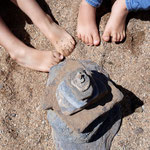 Cros de Géorand - Concours photo 2025 "Au ras du sol sur le plateau ardéchois" - Catherine U.