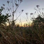 Cros de Géorand - Concours photo 2025 "Au ras du sol sur le plateau ardéchois" - Cécile P.