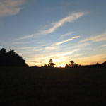 Cros de Géorand - Concours photo 2025 "Au ras du sol sur le plateau ardéchois" - Cécile P.