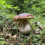 Cros de Géorand - Concours photo 2025 "Au ras du sol sur le plateau ardéchois" - Sonia R.