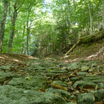 Cros de Géorand - Concours photo 2025 "Au ras du sol sur le plateau ardéchois" - Baptiste O.