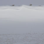 Cros de Géorand - Concours photo 2025 "Au ras du sol sur le plateau ardéchois" - Véronique G.