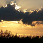Cros de Géorand - Concours photo 2025 "Au ras du sol sur le plateau ardéchois" - Alban P.