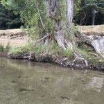 Cros de Géorand - Concours photo 2025 "Au ras du sol sur le plateau ardéchois" - Anne-Gaëlle O.