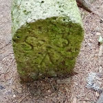 Cros de Géorand - Concours photo 2025 "Au ras du sol sur le plateau ardéchois" - Simone B.