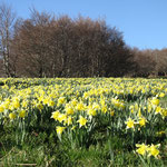 Cros de Géorand - Concours photo 2025 "Au ras du sol sur le plateau ardéchois" - Serge V.