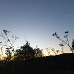 Cros de Géorand - Concours photo 2025 "Au ras du sol sur le plateau ardéchois" - Cécile P.