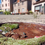 Cros de Géorand - Concours photo 2025 "Au ras du sol sur le plateau ardéchois" - Solène R.